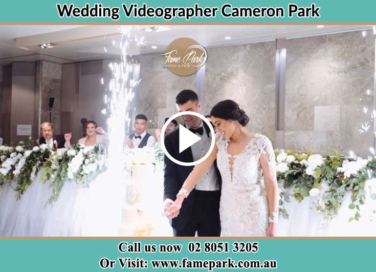 Bride and Groom cutting of cake Cameron Park NSW 2285