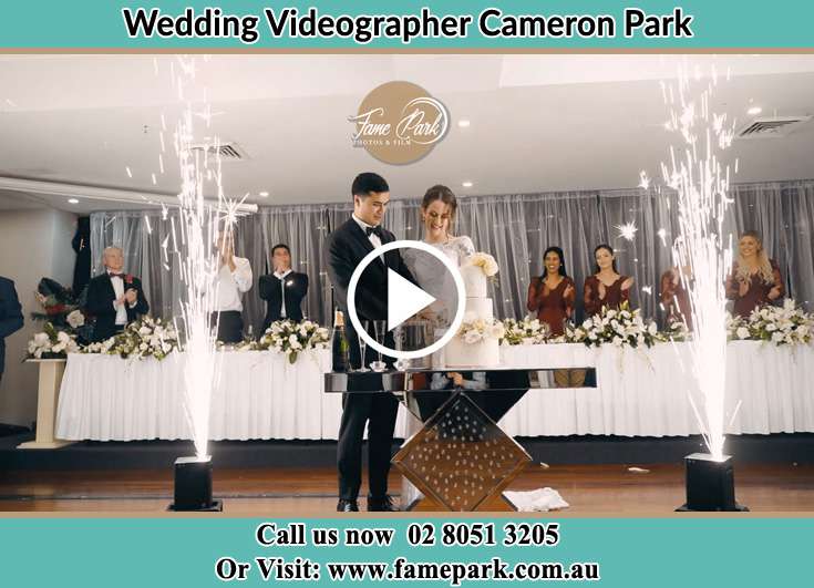 Bride and Groom cutting of cake Cameron Park NSW 2285